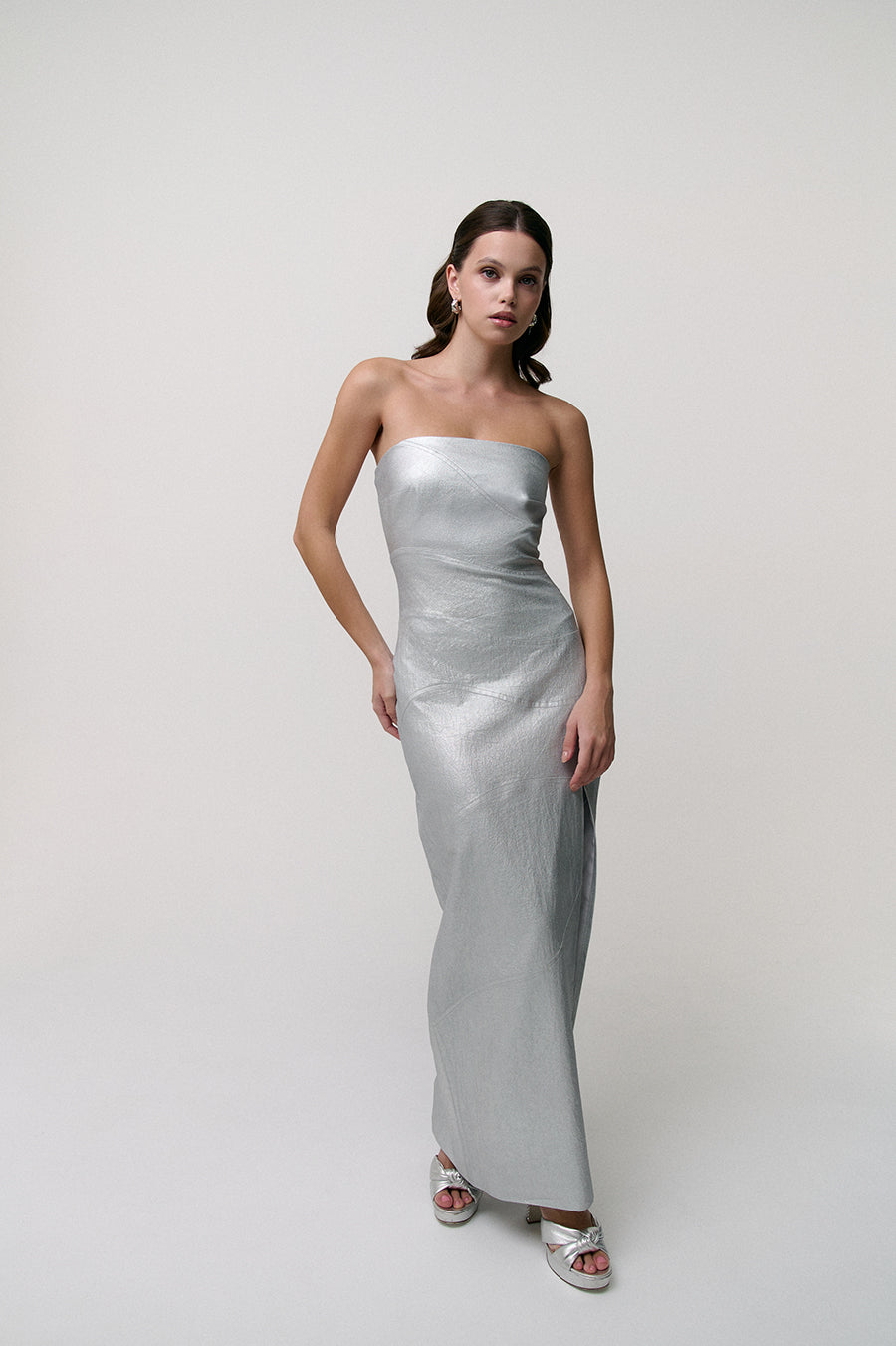 Silver Maxi Dress