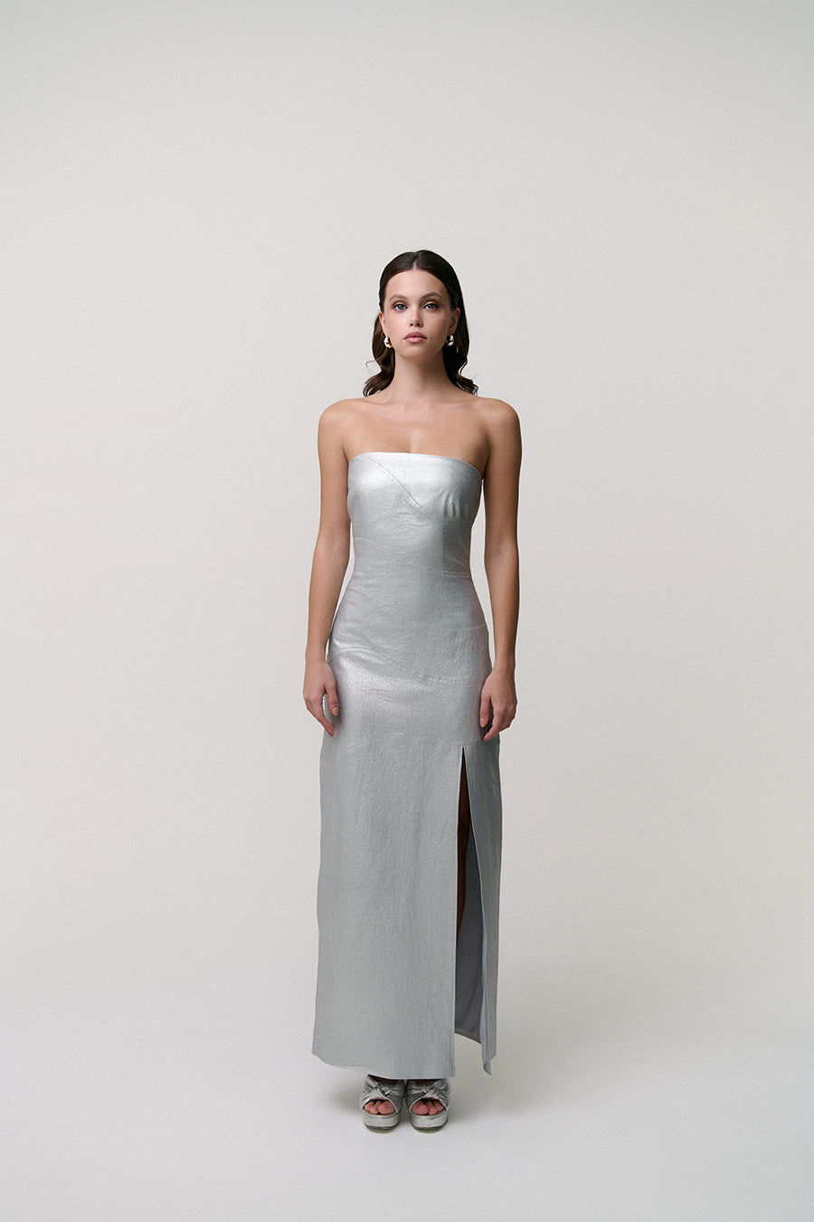Silver Maxi Dress